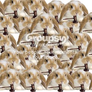 banbunny_zps12c47630.jpg