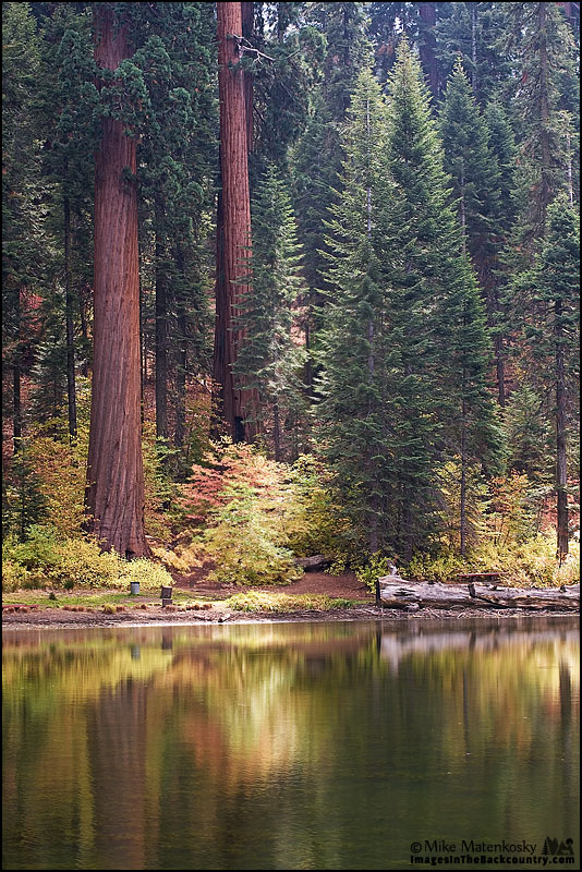 balch-park-101313-81.jpg