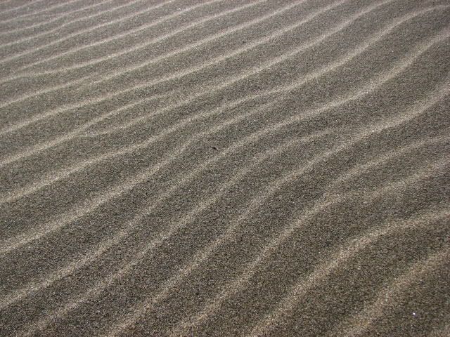 IMG_0706.jpg