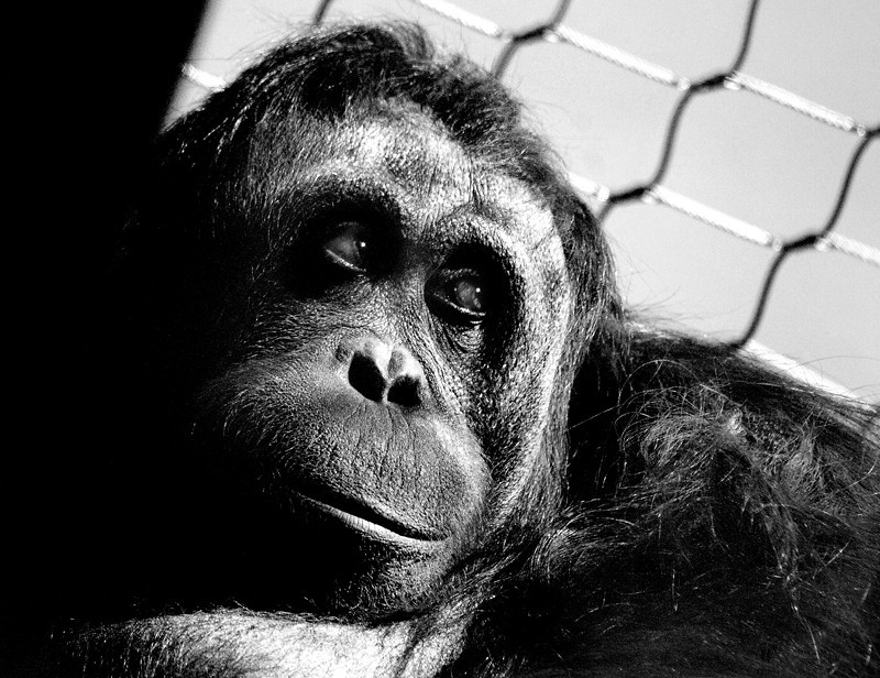 LAZoo-66-XL.jpg