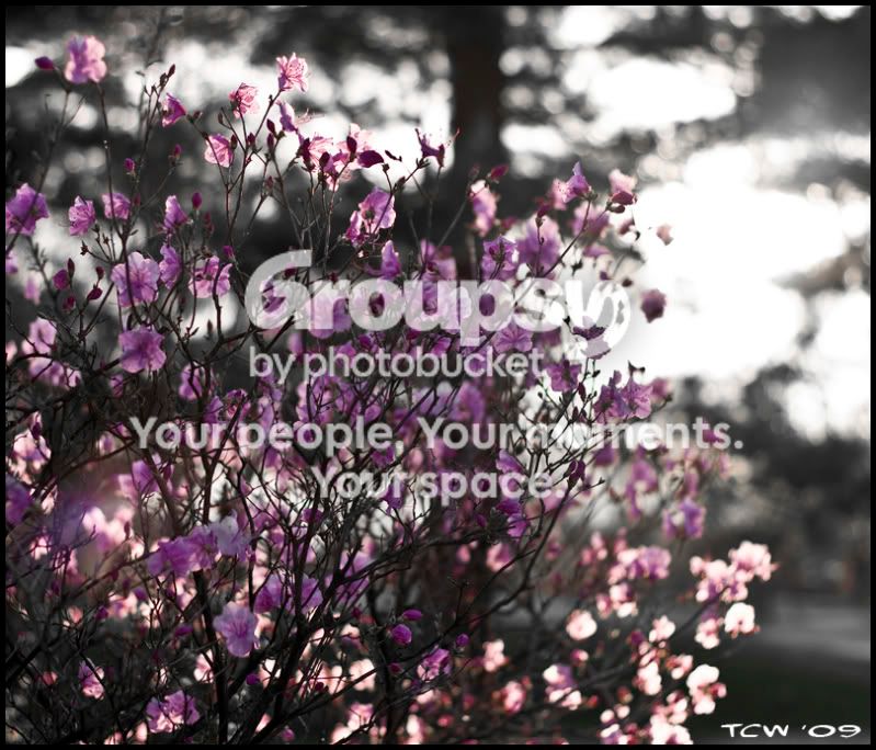 4-28-091.jpg