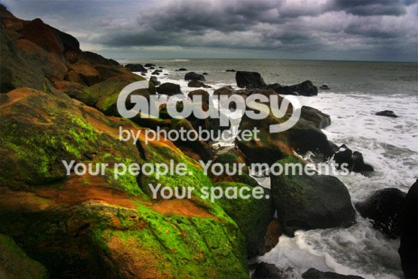 green-on-rocks.jpg