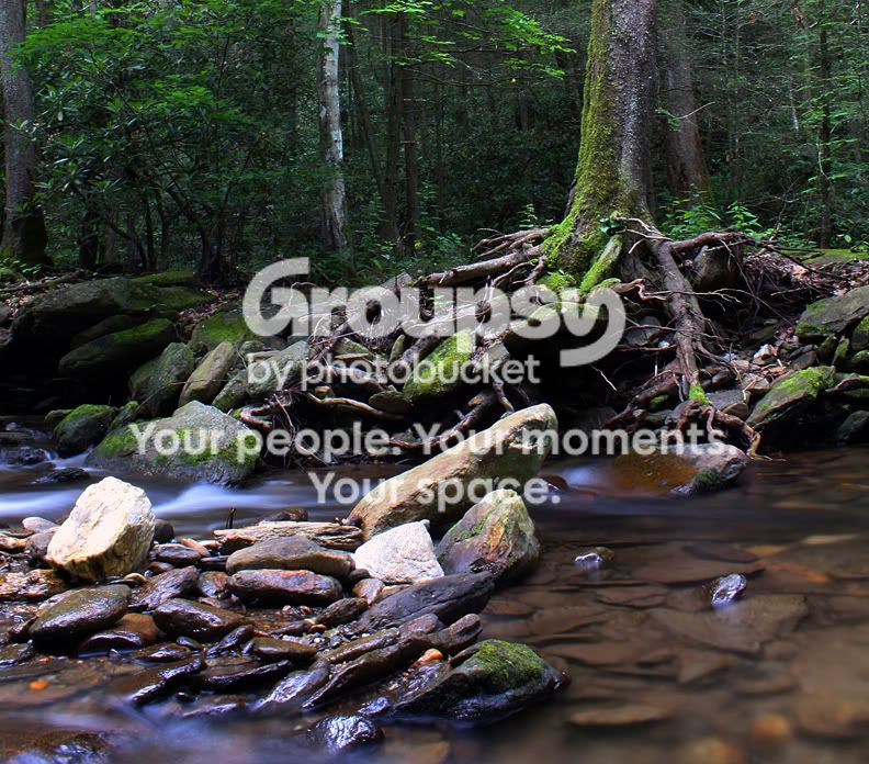 IMG_0632croppedsmall.jpg