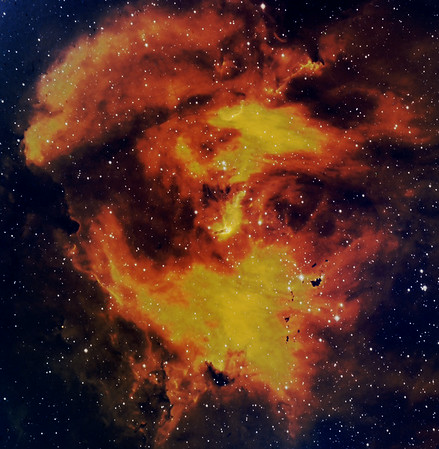 flaming%20chicken-M.jpg