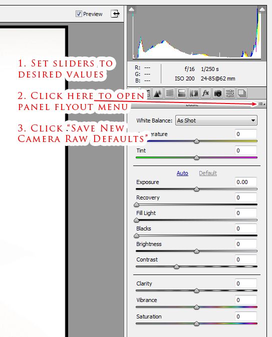 CameraRawDefaultSettings.jpg