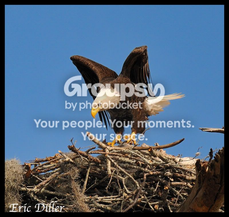 PIC_9808copy.jpg