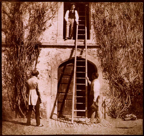 ladder.jpg