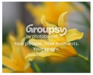 flower.jpg