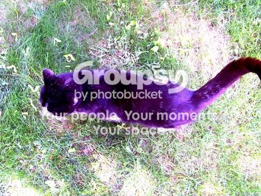 100_06369.jpg