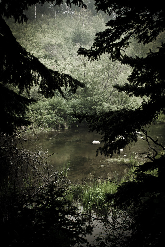 4909315380_5f3fc0b5d4_b.jpg
