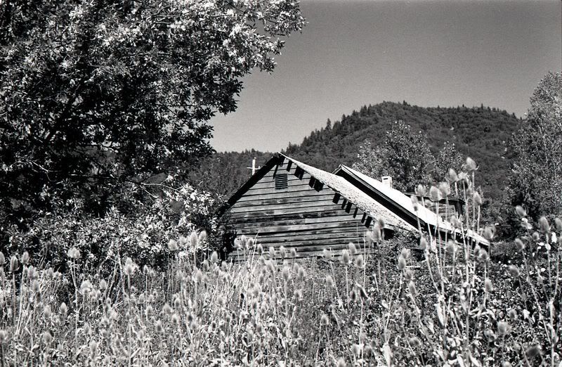 img913.jpg