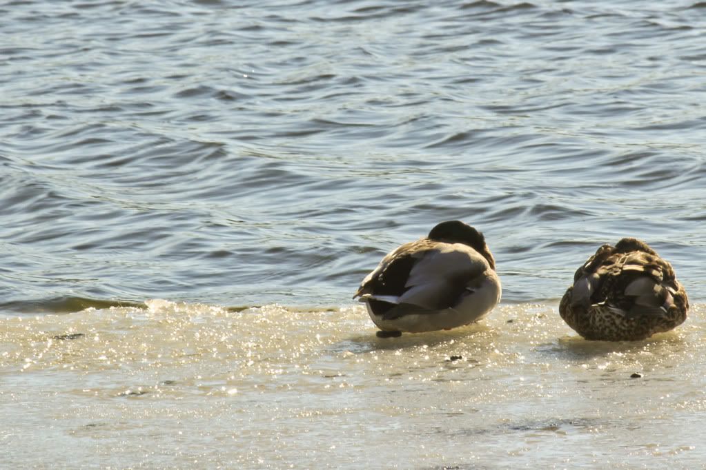 IMG_9877w.jpg