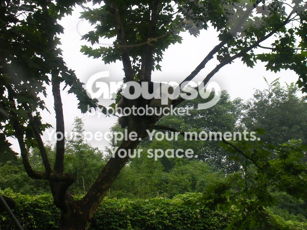 DSCN8480.jpg
