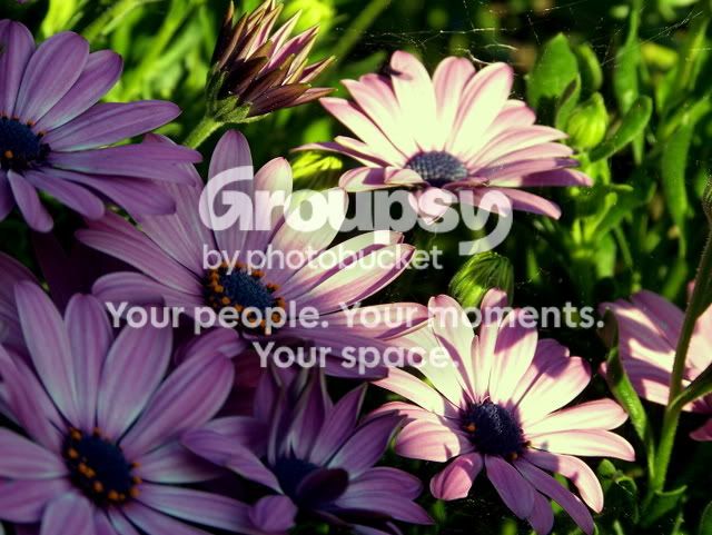 3-21-07055.jpg