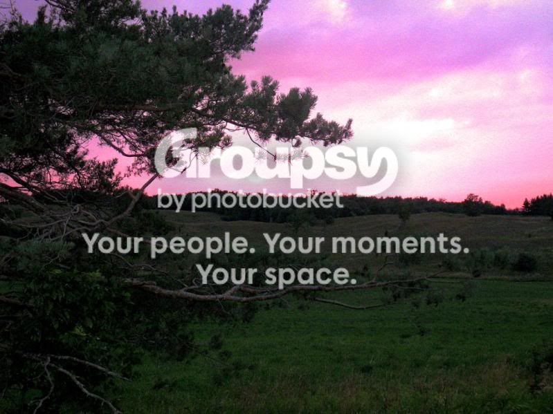 sunsetpinkweb.jpg