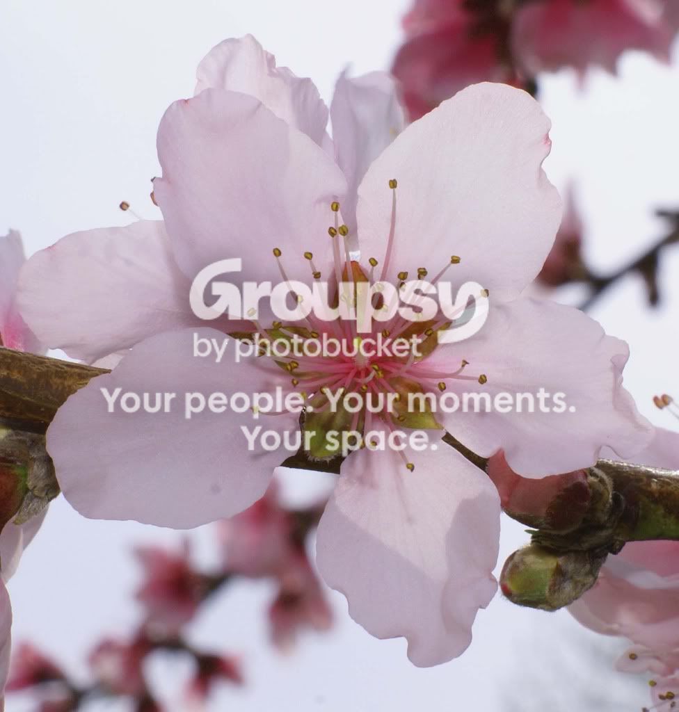 spring027.jpg