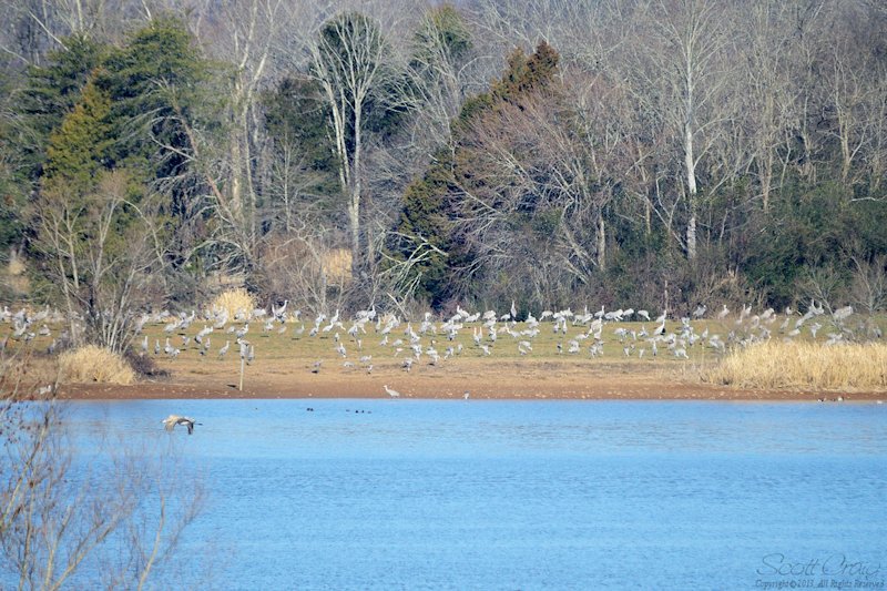2013-02-09-05.jpg