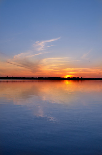 3687494929_1cc77e22cf.jpg