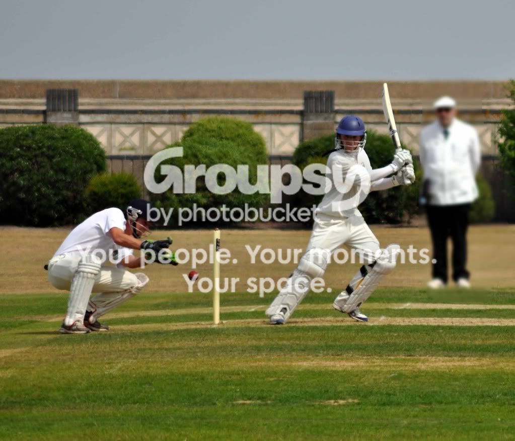 cricket4.jpg