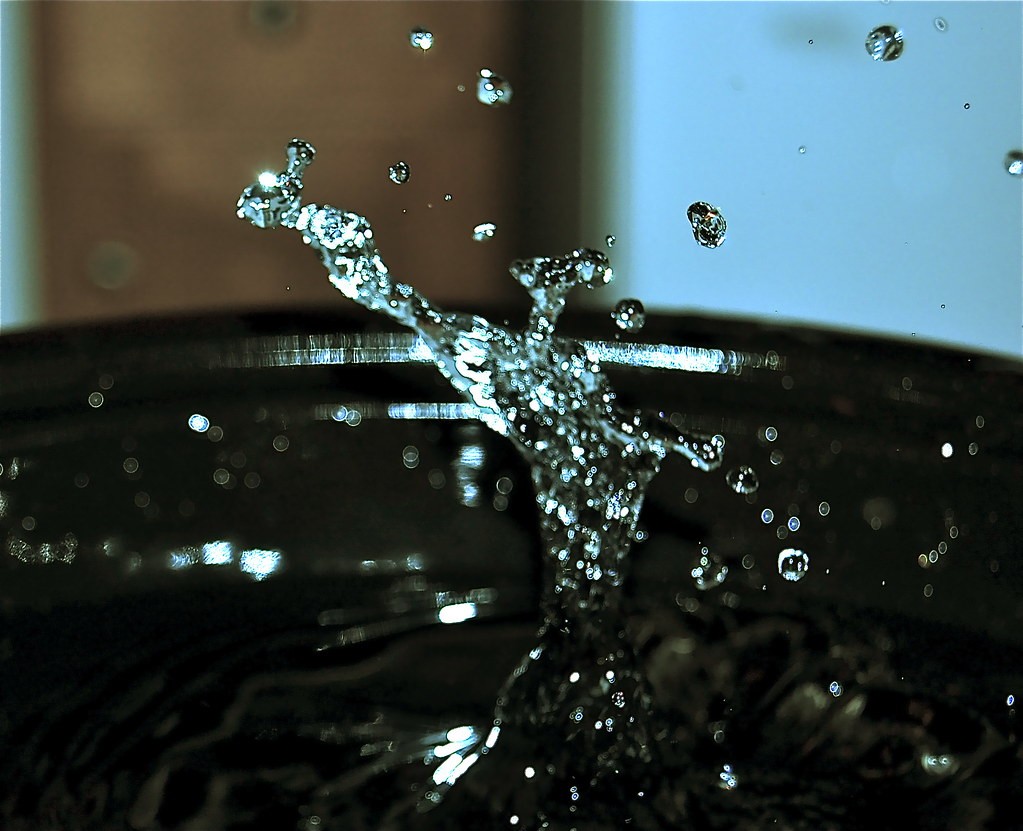 4250277392_91c541a192_b.jpg