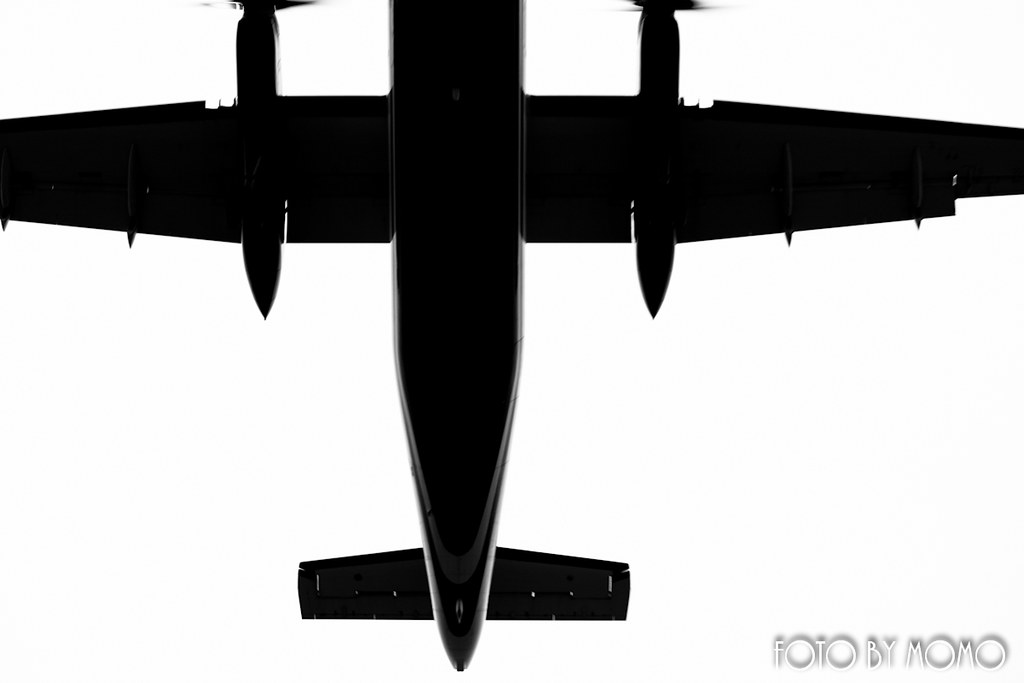 5316341479_2b4f3d7520_b.jpg