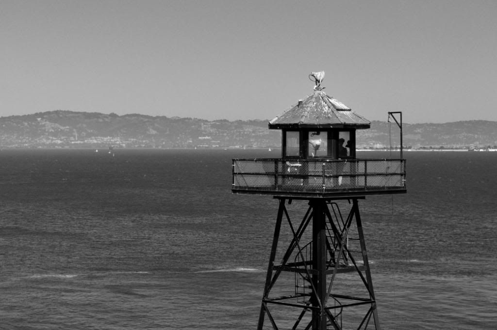 DSC_0081-1.jpg