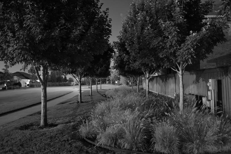 DSC_0975BW.jpg