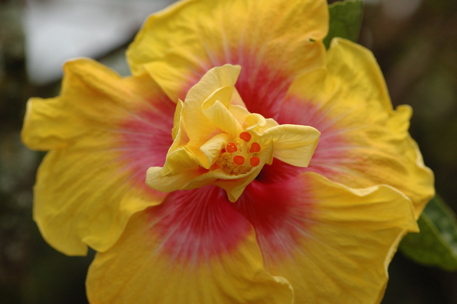 DSC_0102-X3.jpg
