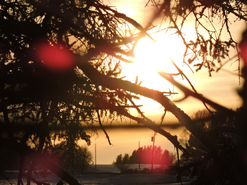 7c647355a8b73a23de63e2faaf0145f0.png
