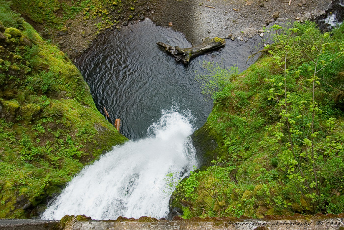 multnomah060506_07.jpg