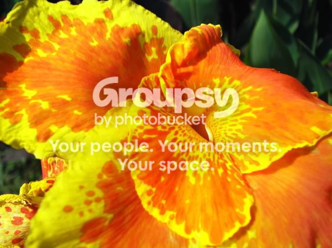 photog18.jpg