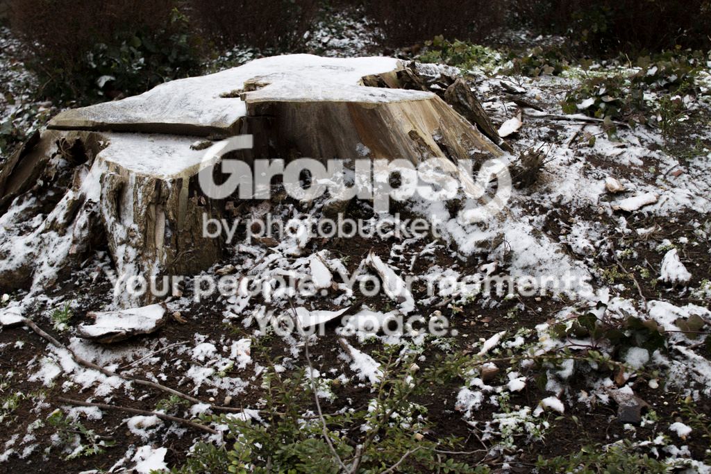 I_0450_zpsueu8ehge.jpg
