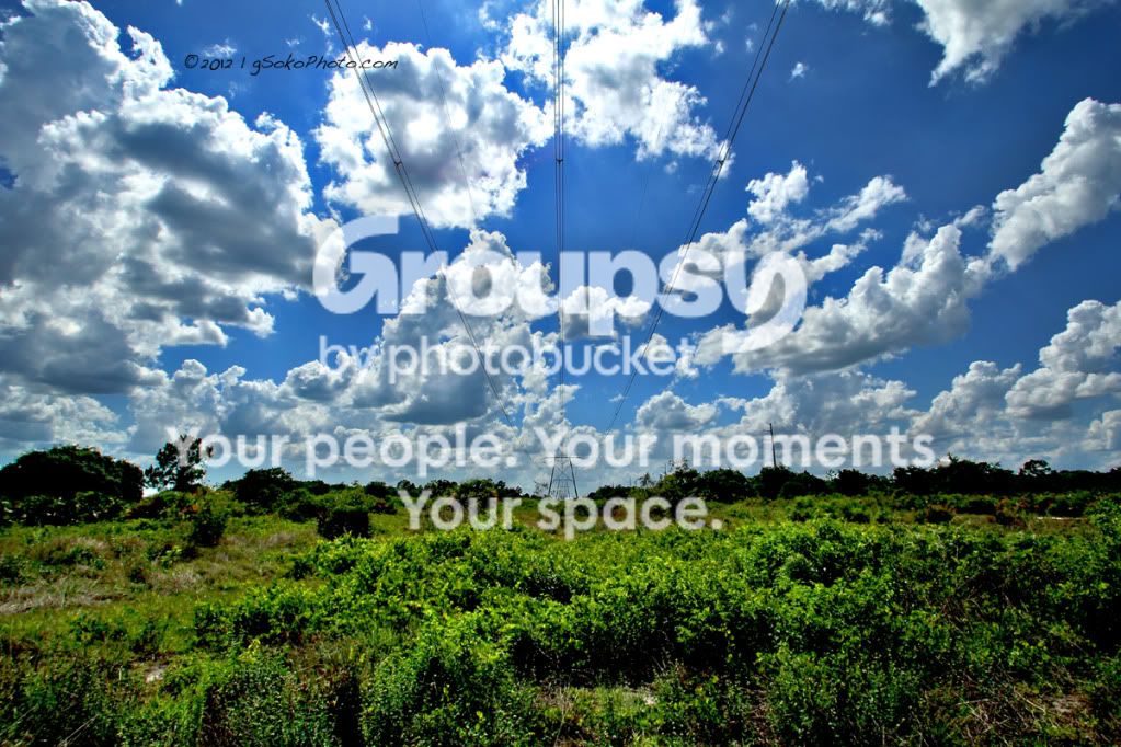 PowerLineSkyscapeWM.jpg