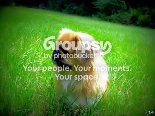 zoiegrass-1.jpg