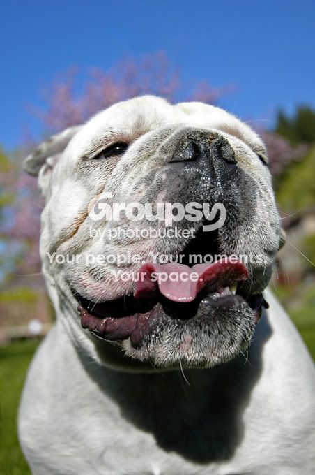 _DSC0203editsmall.jpg