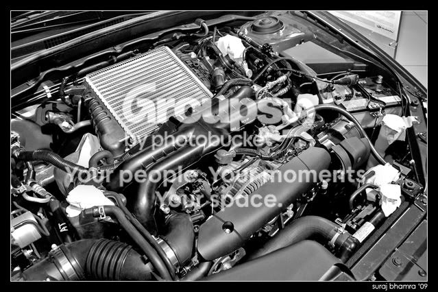 DSC_0027_edit.jpg