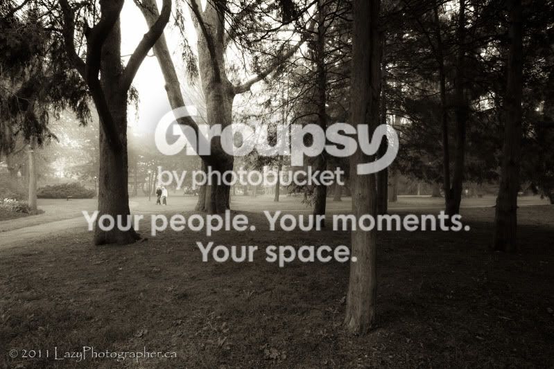 FoggyMay-125-EDITED.jpg