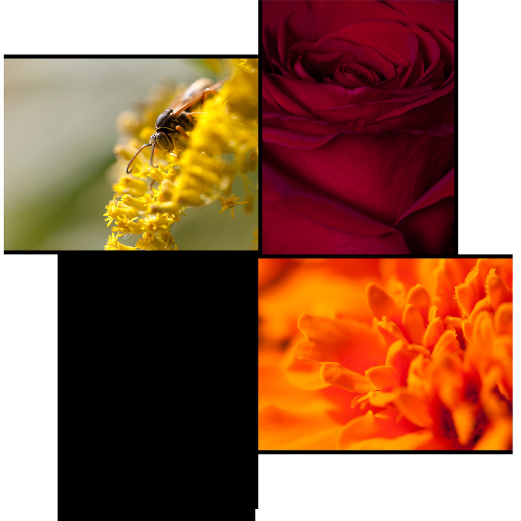 5390024359_dec3d4408b_b.jpg