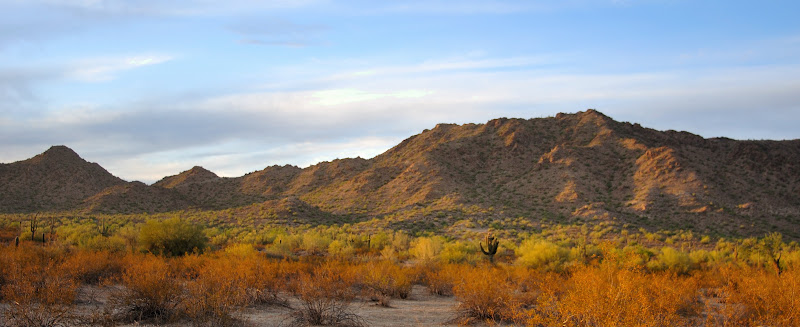 DSC_1156_003.JPG