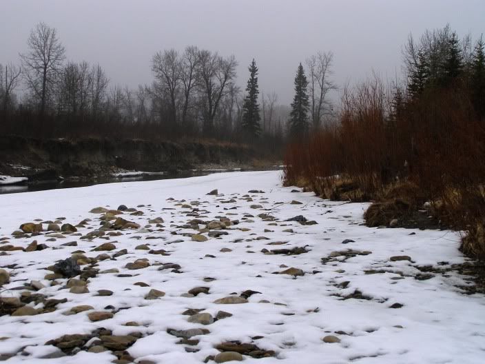 P3240176-1.jpg