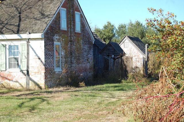 DSC_0205.JPG