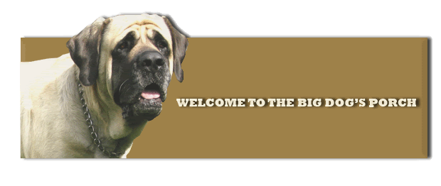 bigdogslogo.gif