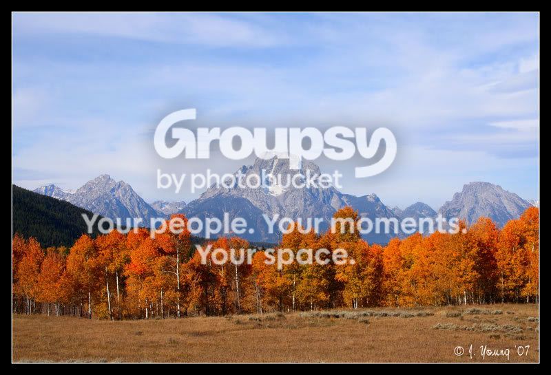 aspen--tetons-2.jpg