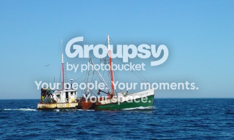 Wellfleet10080962websize.jpg