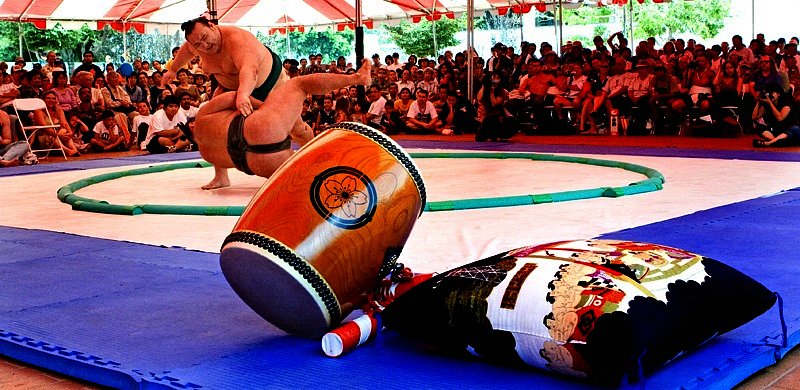 Sumo%2017-X3.jpg