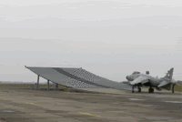 shar2.gif
