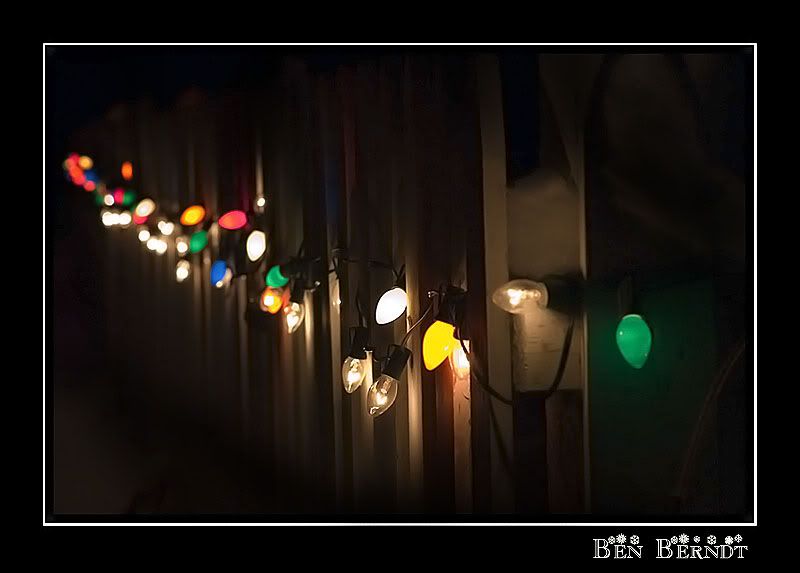 holidaylights.jpg