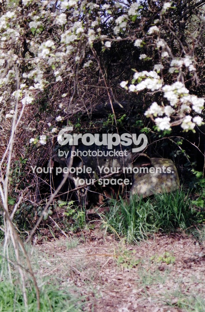 scan5.jpg