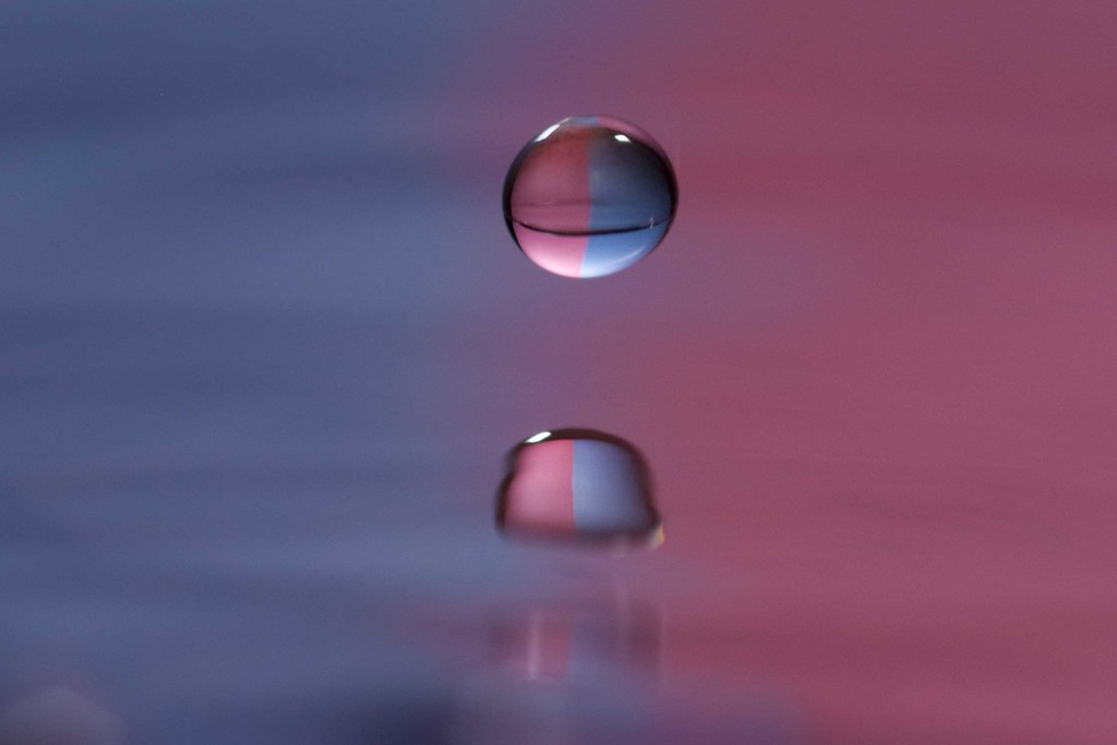 4657899381_a630b3d8a0_b.jpg