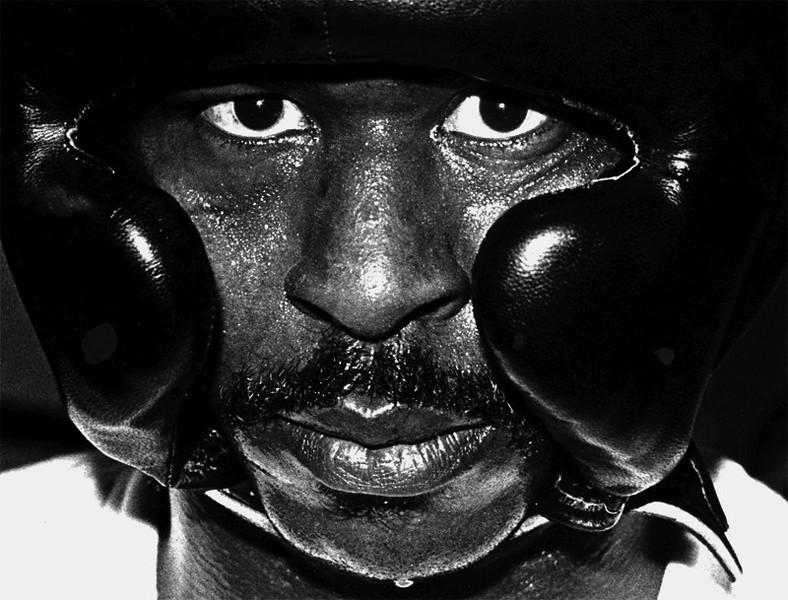 Boxer---HP-L.jpg